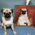 Petartkingdom Custom Pet Portraits The Emperor Custom Pet Canvas Custom Pet Photo DZH00012 1