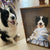 Petartkingdom Custom Pet Portraits The Princess Custom Pet Canvas Custom Pet Photo DZH00015 1