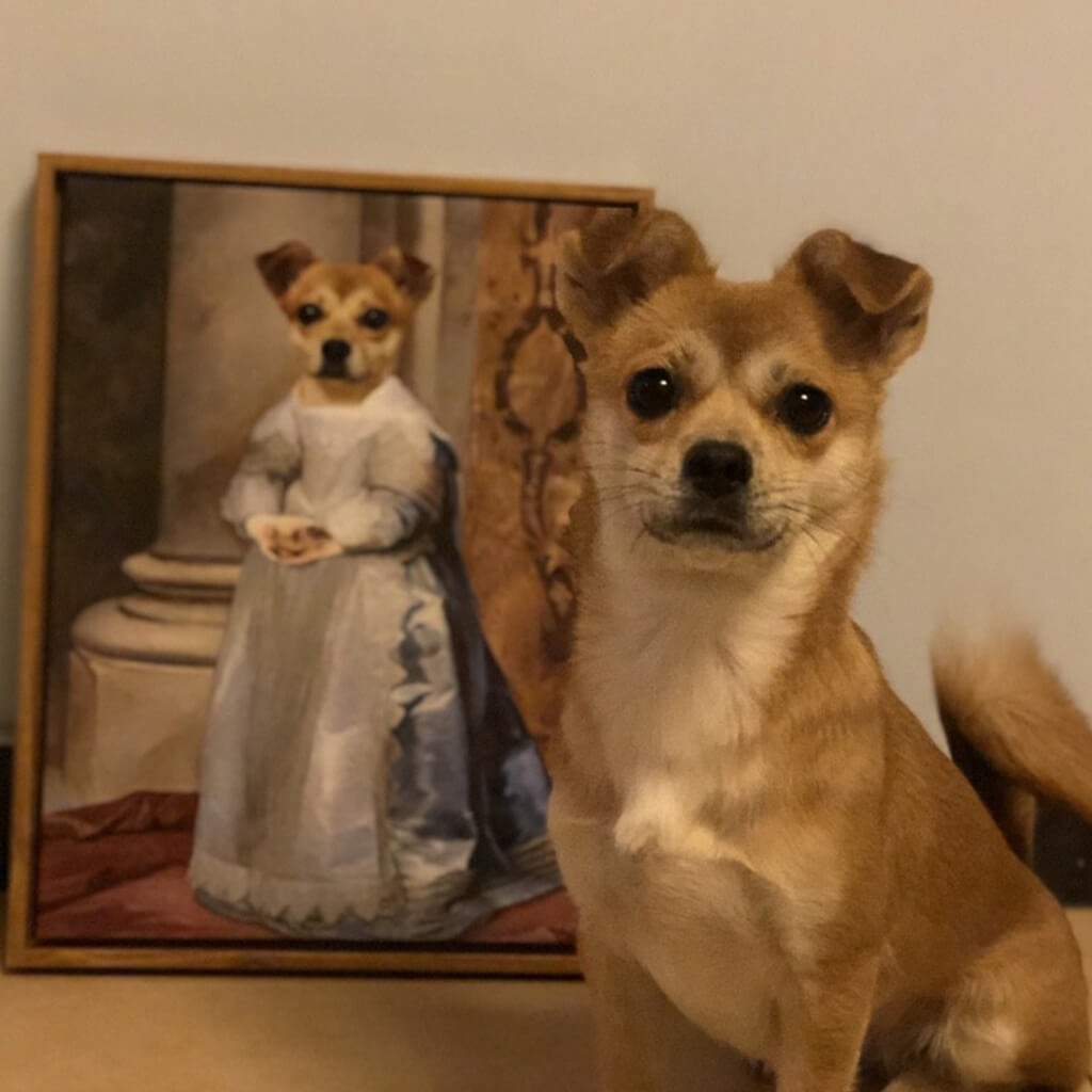 Custom Pet Painting Cork Back Coasters – The Prints Princess